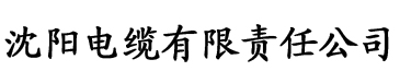 九阴九阳令狐冲和宁中则全本电缆厂logo